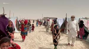 07753503-45D2-41F7-BBE2-920199F91314