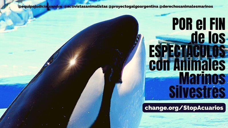 87B845DA-9730-4EC9-AACD-D50625F33199