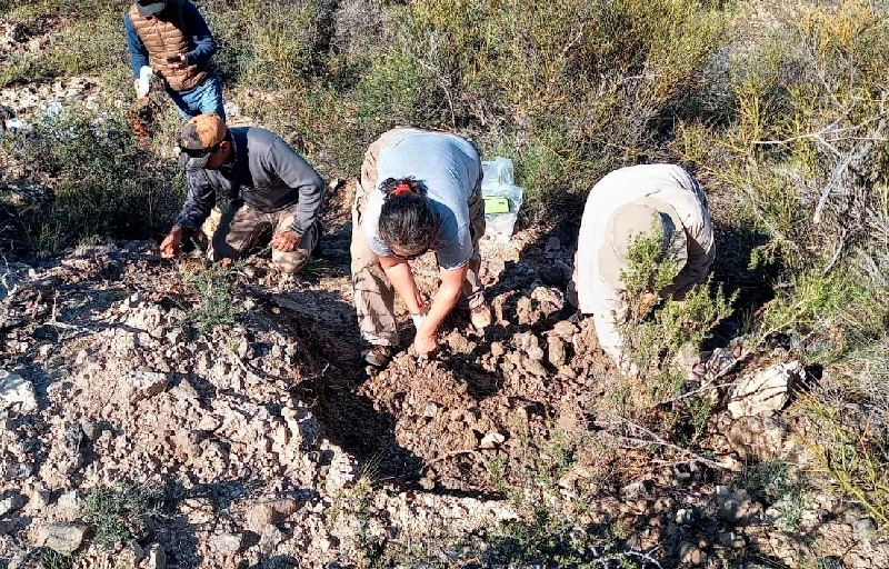 F1A14464-BAD8-4303-A504-D7FCA5140C1A