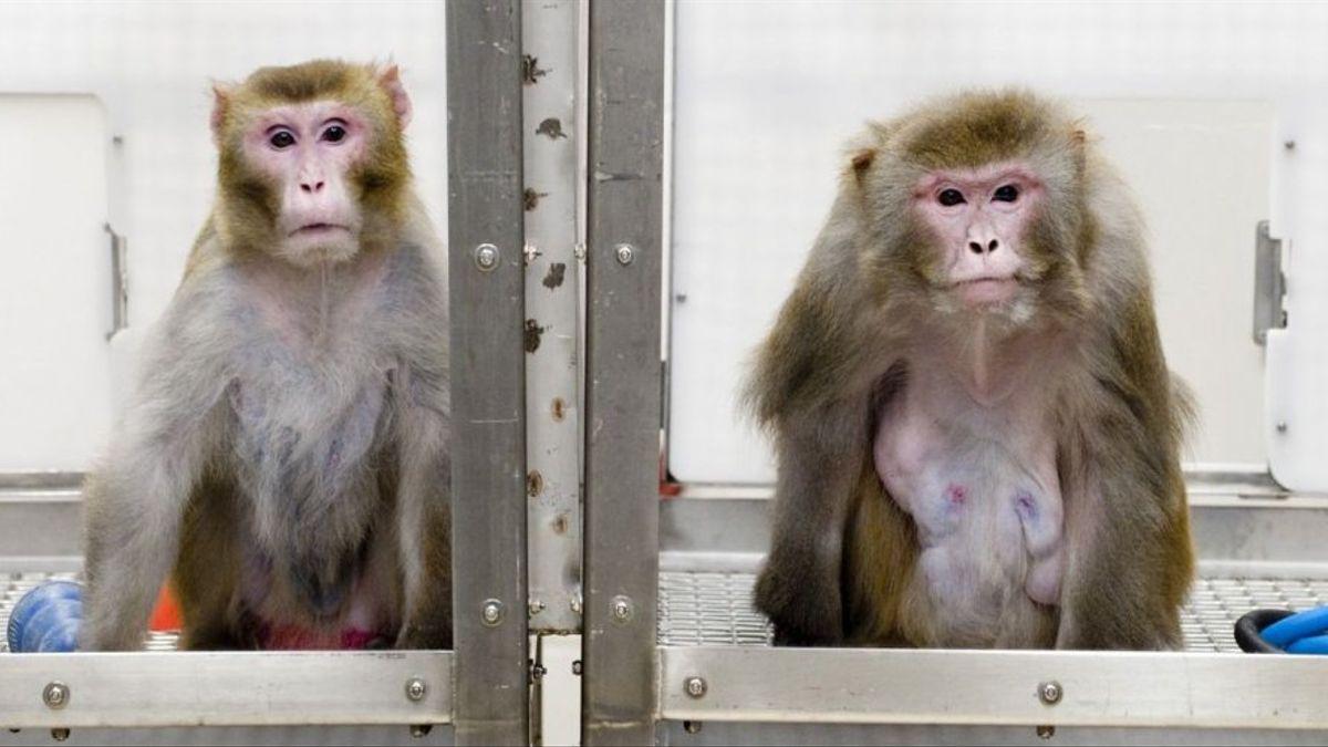 EB05E127-577E-40EA-BCF3-6E63C6A024E3