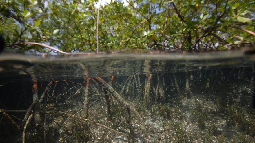 D6377941-0109-4781-A798-099C77C23545