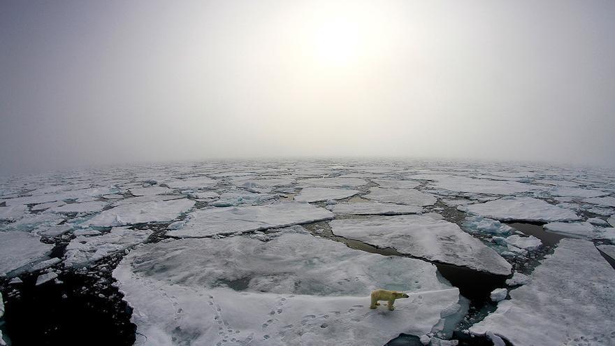 BAB7378C-68A2-4B25-BA38-7C255A393DE4