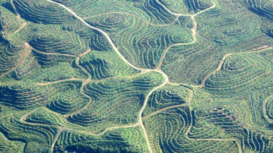 2ADC85B2-8737-4EC2-A13D-A4BDD07BE8AD