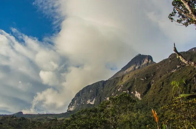 D2162AFD-240E-4092-8D96-D2317E6F817C