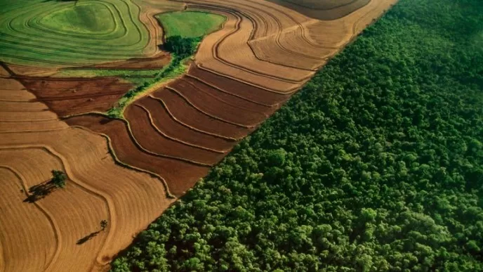 B8717628-7B69-4BD4-A1AA-4D5C0B9E35FB