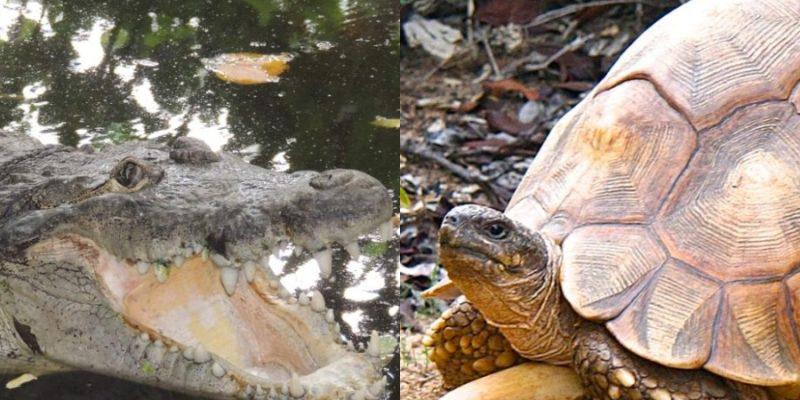 0B7A814E-F421-4767-9279-A6BE413E29D3