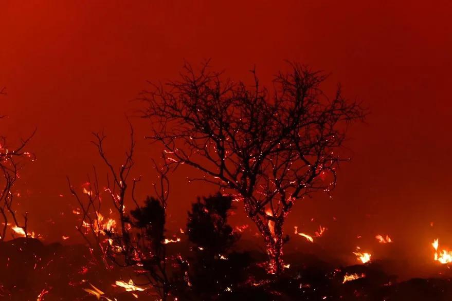 DE5E2560-C122-495B-A6D1-6CAA5D6AF4DC