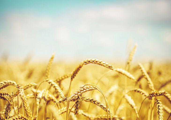 47CF5D24-757B-4EA7-BCFC-2A352C350348