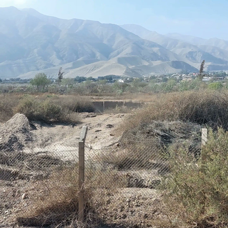 ABE16DF3-9A75-4BB5-A469-3D7DD00A6862