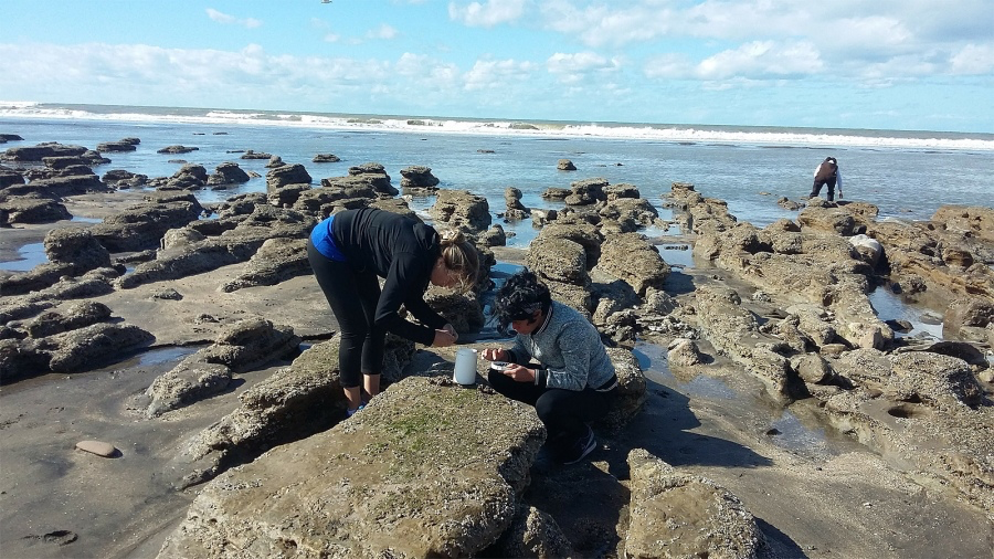 8CA91BB1-1F51-4AB9-87C9-767C08DC5A4E