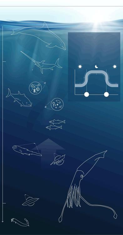 0DD444AF-80ED-45D8-9EF6-A1105A625B67