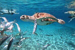 3A23B0F9-044F-4D06-8B81-71A29F20B763