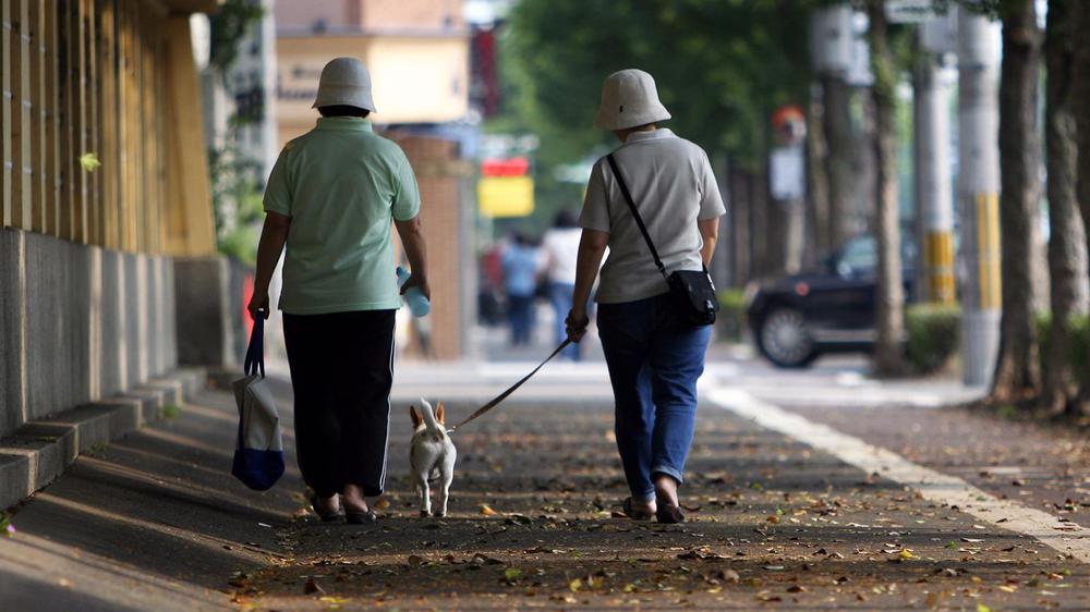 190305173618-dangers-of-dog-walking-stock