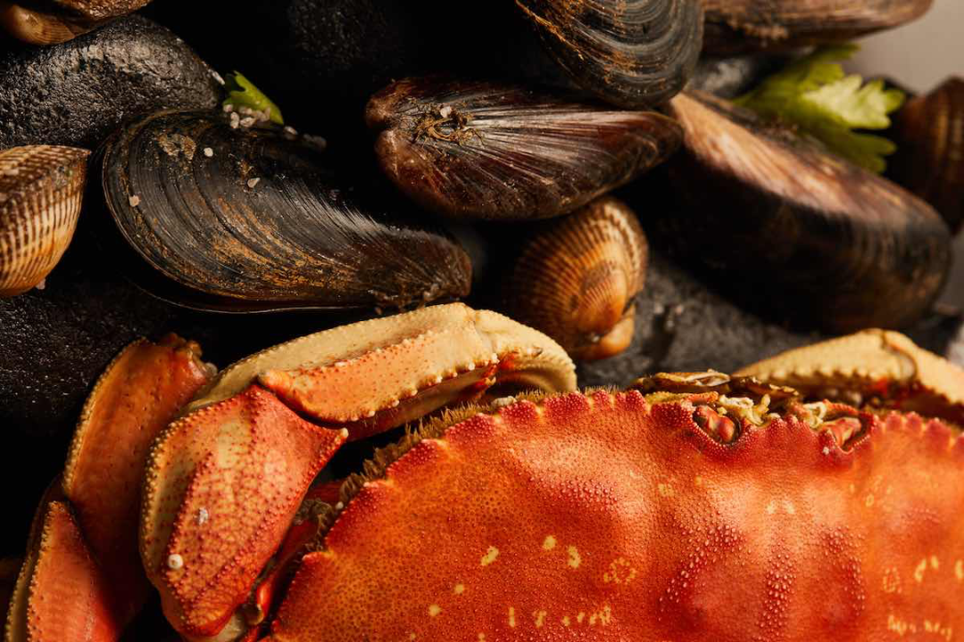 C38B5AB0-0878-42B8-954B-42DDCAF51A0F