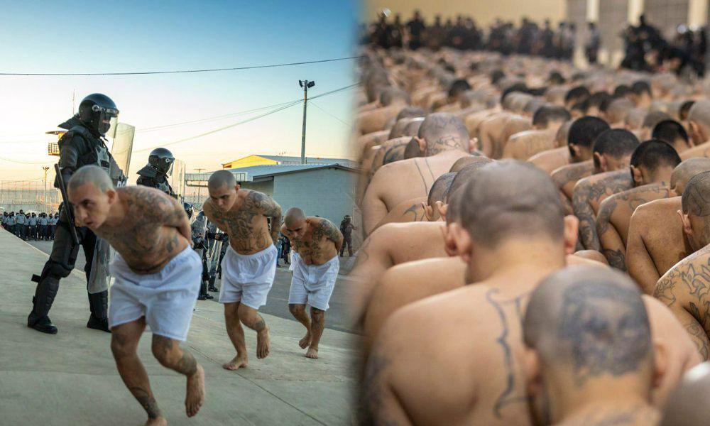 A8B7A4E1-1DC5-40CF-9966-52C4C1ABD617