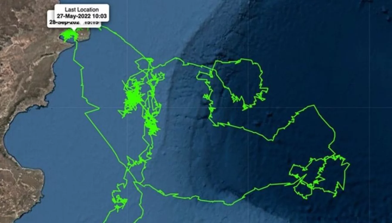 E3866767-A005-47BE-A65B-1309A4216AFF