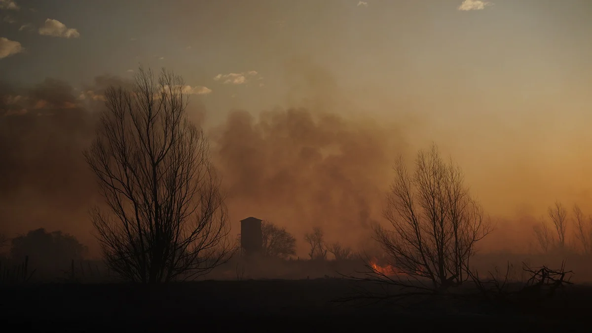 38896A01-8D82-4C17-9A89-F7F364F44780